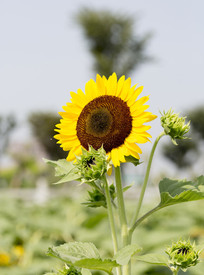 ���ݻ���