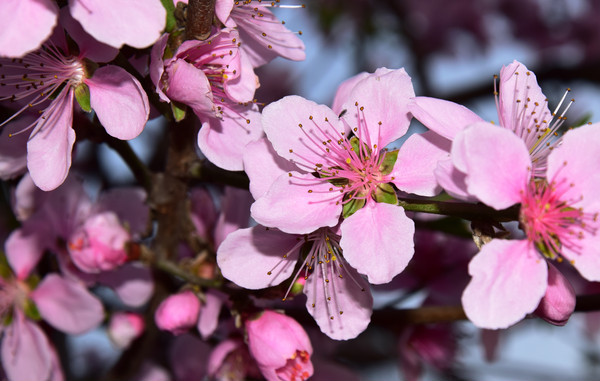 ï�ܵ��һ�����