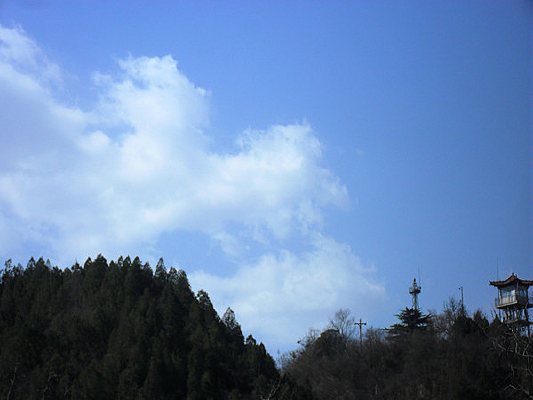 ���ʵ����