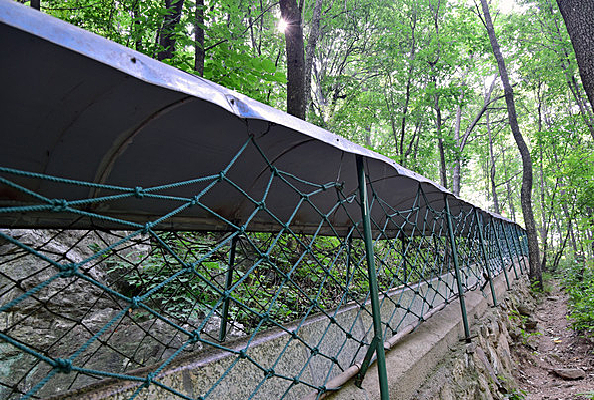 ɽ���ϵĻ���