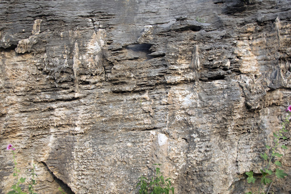 ��Ȼ��ʯ��������ͼƬ