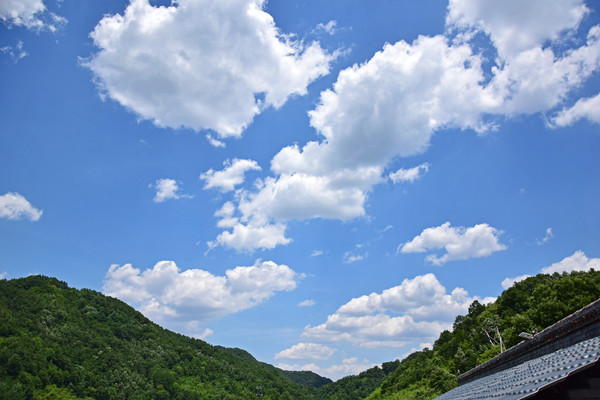 �ضɹ����������