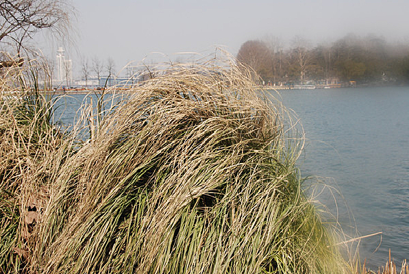 ����é��