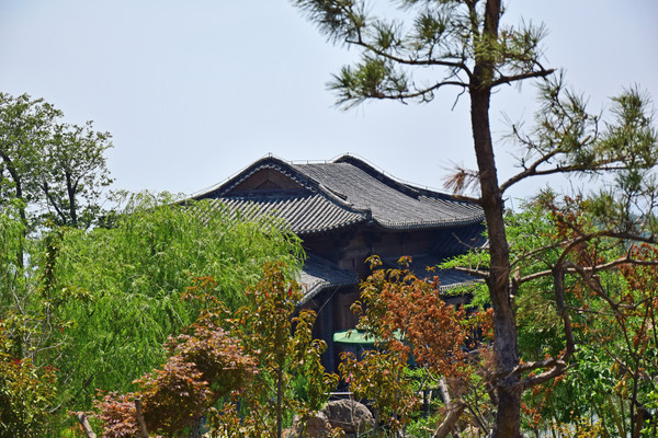 ��ľ��ӳ�����߷�