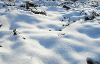 �����µİ�ѩ