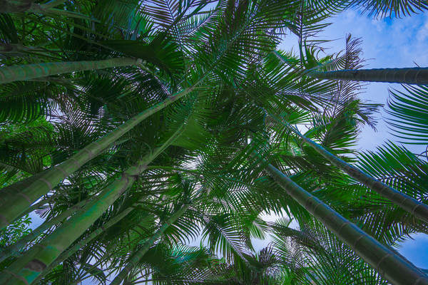 ���ӵ���