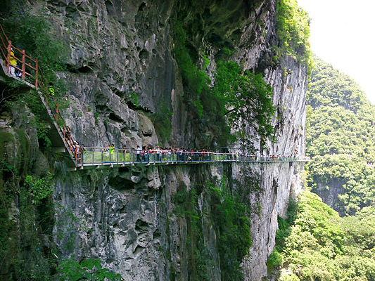 �����ŷ��