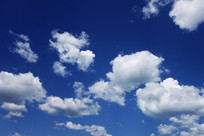 �����ƶ���