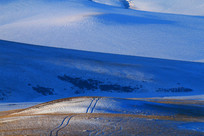 ɽ��ѩҰ���� 