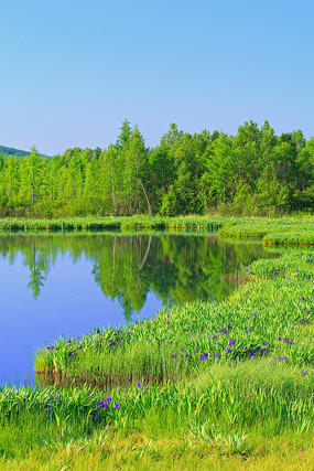 ���˰������������ 