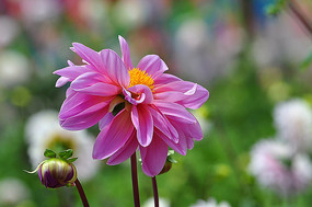 ��˿�Ĵ�����