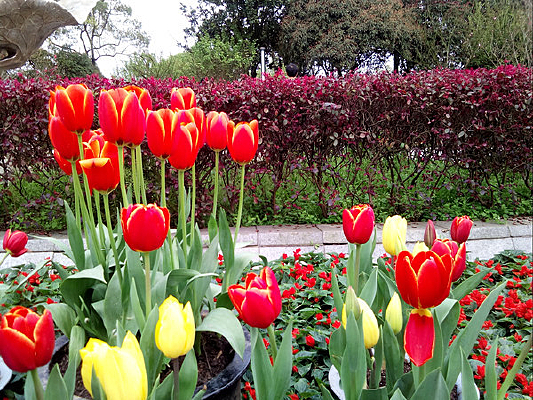 ��ɽ������