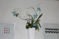 ���պ���