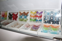 ���պ���