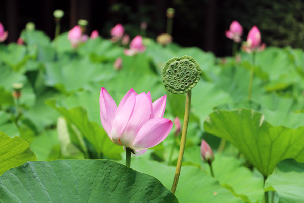 �����ϵİ���