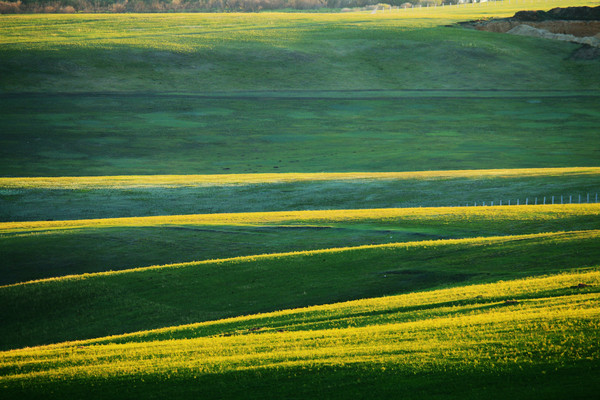 ��ɫ������Ӱ