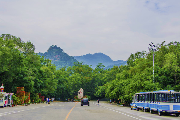 ǧɽ���ŵ�ɽ����ľ���������