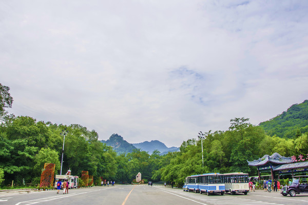 ǧɽ���ŵ�ɽ����ľ���������