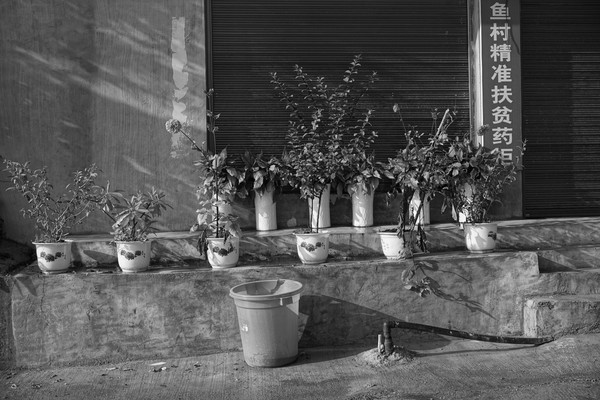 ̨���ϵĻ���