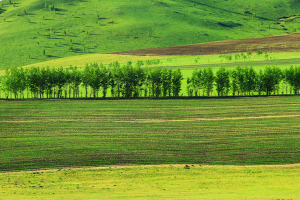 ��Ұ��ɫϣ����԰