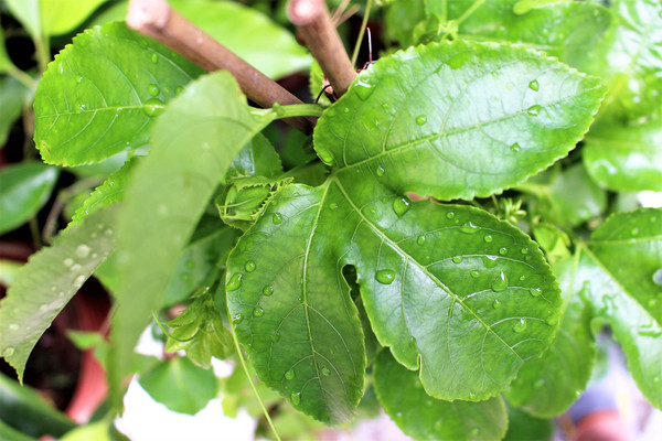 �����µ�����