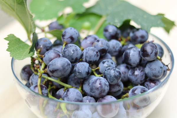 ��ɫ������