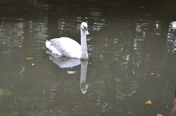 ������İ����