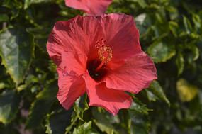 ��컨����