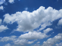 �����ɫ�Ʋ�