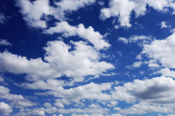 ������Ʒ羰