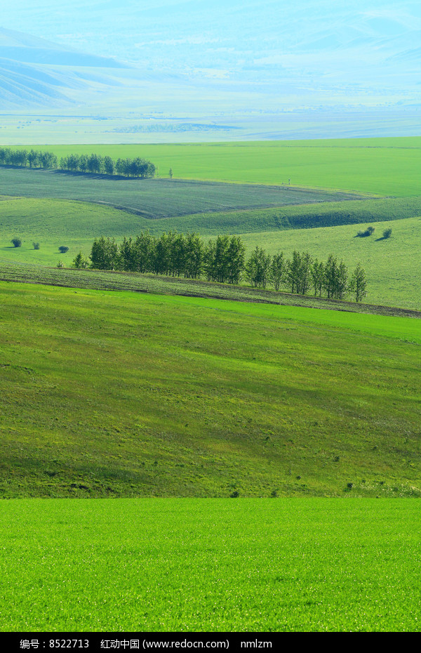 ��԰���ͼƬ