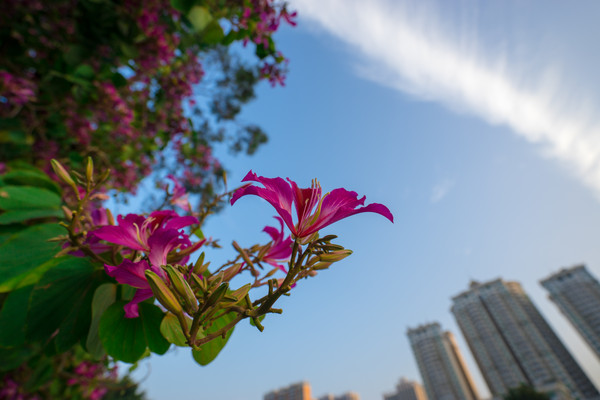 �����Ͼ���