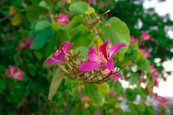 �Ͼ�����д