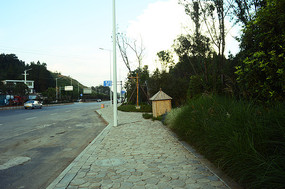 ��·�ߵ�ʯ�����е�