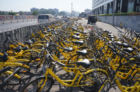 ofo