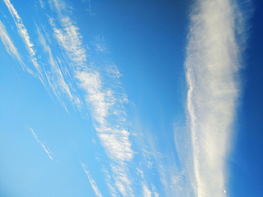 �����Ʋ�