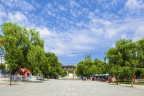 ����ɽ��