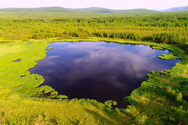 ����ɭ�ֺ�