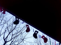 ����װ��