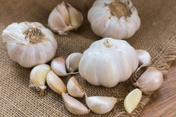 ����Ͱ��������