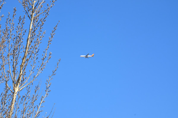 �ɻ�������