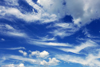 ������Ʒ��