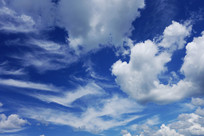 ������Ʒ羰