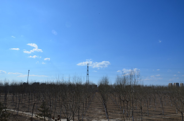 ����Ͱ���