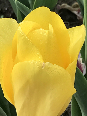 ��д������