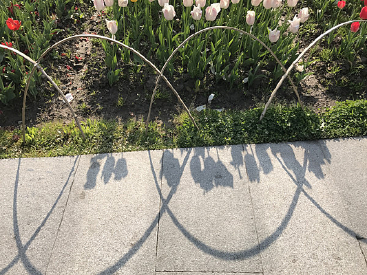 �����㻨Ӱ