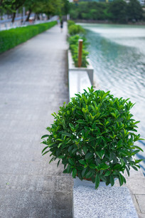 ���ߵ���