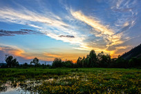 ʪ������