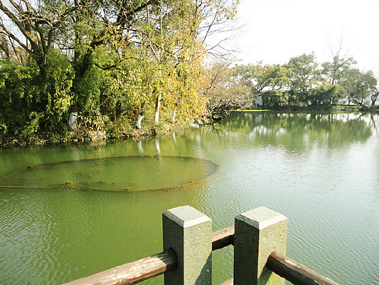 ������ʤ�羰