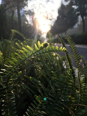 ����Ȼ���̲�